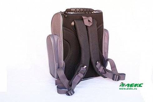 Школьный рюкзак «Тигрик +» Алекс, изображение №2